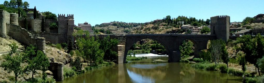 San Martín Bridge